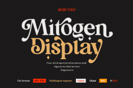 Mitogen Display Signature Regular