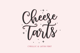 Cheese Tarts Regular