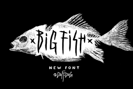 Big Fish DD Regular