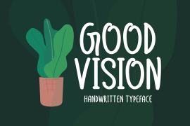 Good Vision Regular