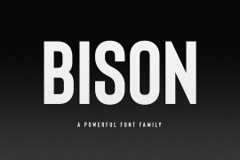 Bison Thick Outline Itallic