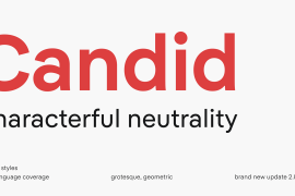 Candid DEMO Bold Italic