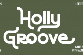 Holly Groove Regular