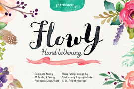 Flowy Brush Freehand