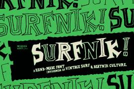 Surfnik In And Out
