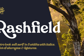 VVDS Rashfield Bold Italic