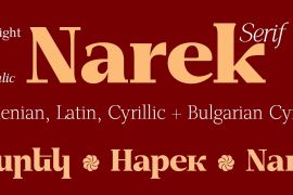 GHEA Narek Serif Black Italic