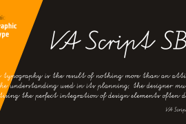 VA Script Nr1 SB Regular