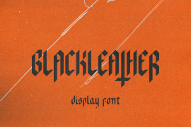 Blackleather Regular