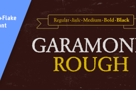 Garamond Rough Pro Black