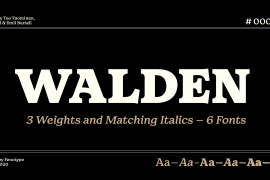 Walden Black Italic