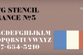 Vtg Stencil France No3 Regular