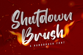 Shutdown Brush Regular