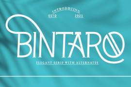 Bintaro Regular