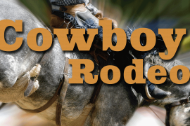 Cowboy Rodeo