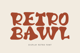 Retro Bawl Regular