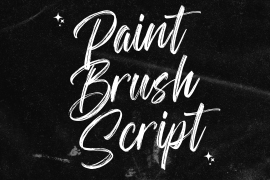 Paint Brush Script Regular