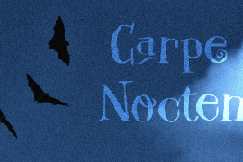 Carpe Noctem