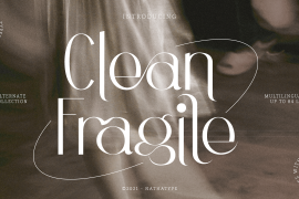 Clean Fragile Regular