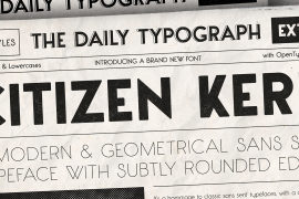 Citizen Kern Bold