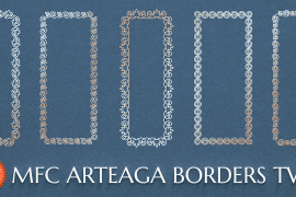 MFC Arteaga Borders Two