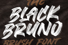 Black Bruno Regular