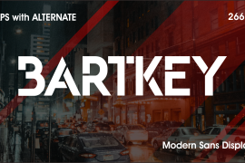 Bartkey Regular