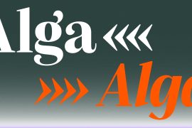 Alga Bold Italic