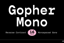 Gopher Mono Black Italic