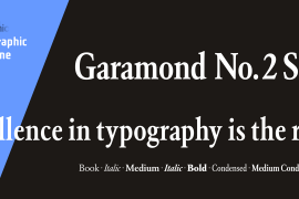 Garamond Nr 2 SH Book