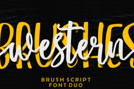 Western Brushes Sans