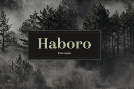Haboro Nor Regular