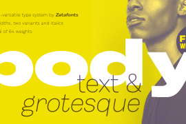 Body Text Italic