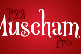P22 Muschamp Pro Regular