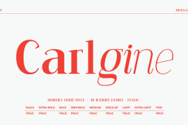 Carlgine Bold