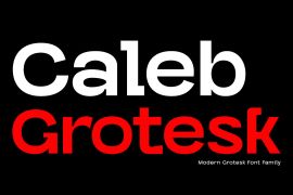 Caleb Grotesk Bold Italic