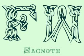 Sacnoth