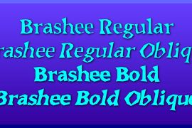 Brashee Bold Oblique