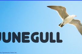 Junegull Regular