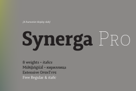 Synerga Pro Black