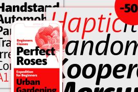 Haptic Pro Italic