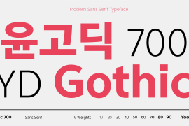 Yoon Gothic 700 790