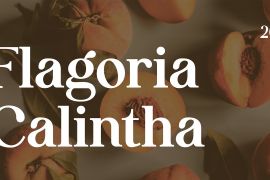 Flagoria Calintha Thin