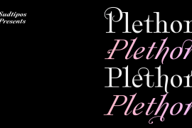 Plethora Variable Italic