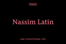 Nassim Latin Variable Italics