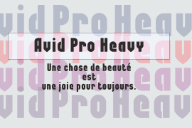 Avid Pro Heavy