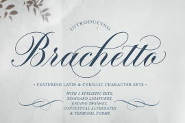 Brachetto Regular