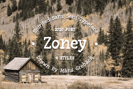 Zoney Bold