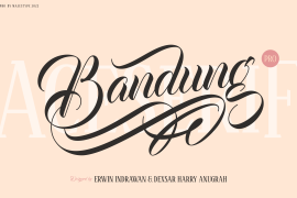 Bandung Pro Regular Script
