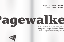 Pagewalker Regular
